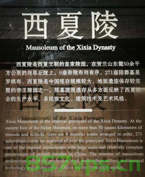 申遗成功！西夏陵列入世界遗产名录的辉煌时刻智能免费问答EasyAI m.857vps.cn，申遗成功！西夏陵列入世界遗产名录的辉煌时刻——智能问答系统见证历史一刻
