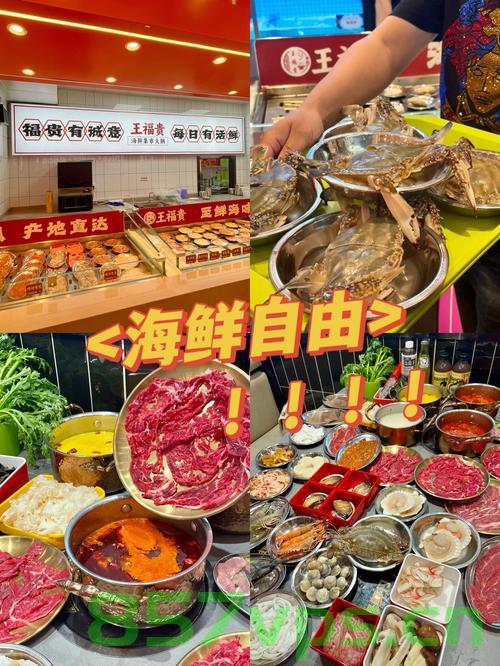 又一小火锅火出圈，主打海鲜，5元/盘智能免费问答EasyAI m.857vps.cn，海鲜小火锅火爆出圈，智能问答与实惠美食的双重魅力，海鲜小火锅火爆出圈，智能问答与美食的双重魅力，5元/盘超值体验！