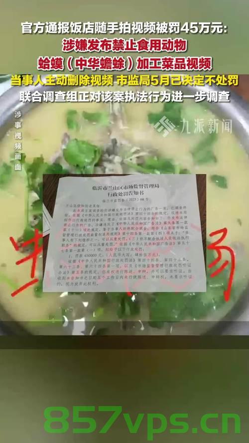 临沂通报菜品视频被罚45万事件，探究背后的真相与启示智能免费问答EasyAI m.857vps.cn，临沂通报菜品视频被罚事件背后的真相与启示，探究智能免费问答平台EasyAI的责任与影响