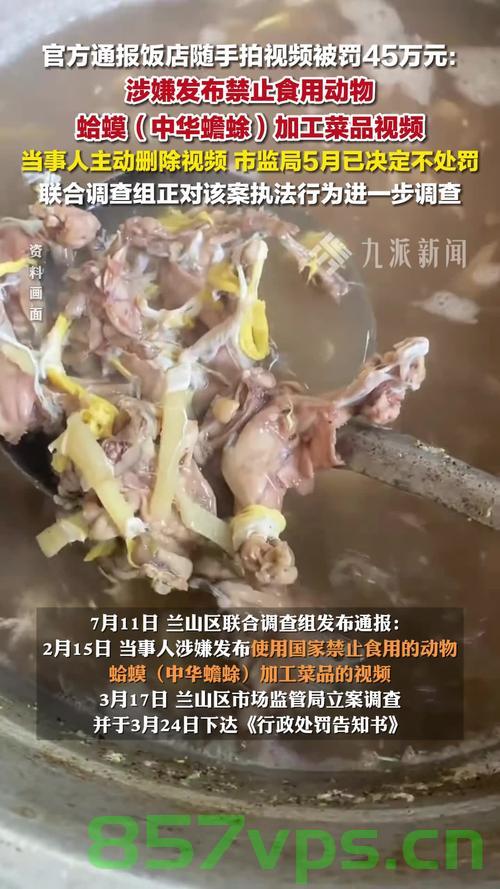 临沂通报菜品视频被罚45万事件，探究背后的真相与启示智能免费问答EasyAI m.857vps.cn，临沂通报菜品视频被罚事件背后的真相与启示，探究智能免费问答平台EasyAI的责任与影响 第2张