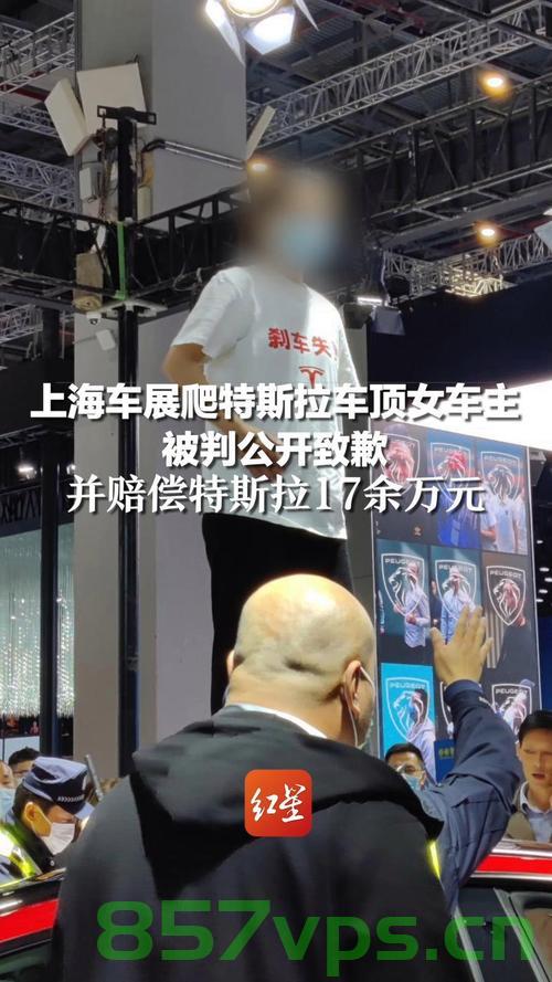 特斯拉车顶维权女车主被判赔17万，事件回顾与深度解析智能免费问答EasyAI m.857vps.cn，特斯拉车顶维权女车主事件回顾与深度解析，赔偿17万背后的故事与智能科技探讨，特斯拉车顶维权女车主事件深度解析，赔偿背后的故事与智能科技探讨