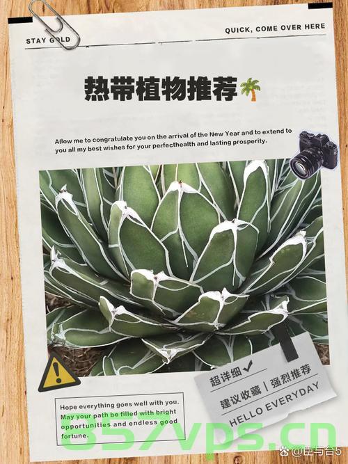 一片热带植物叶子何以卖到30万元智能免费问答EasyAI m.857vps.cn，智能问答揭秘，热带植物叶子高价背后的秘密，价值达三十万元！