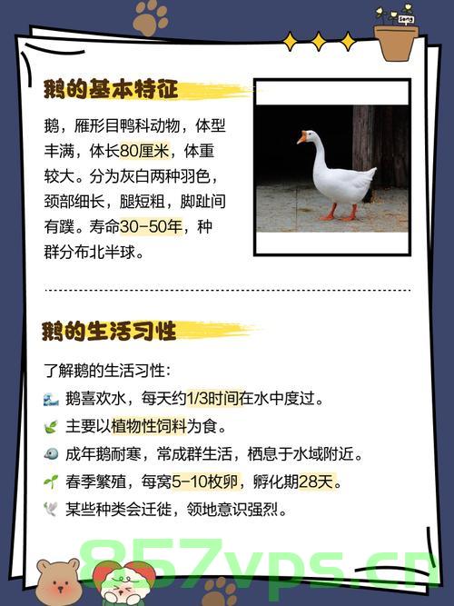 养鹅十多年的首次遭遇，鹅热致死在水中的启示智能免费问答EasyAI m.857vps.cn，鹅热致死事件启示，养鹅业需关注环境调控与智能管理 m.857vps.cn，养鹅业遭遇启示，环境调控与智能管理需重视——来自鹅热致死事件的反思 m.857vps.cn 第2张