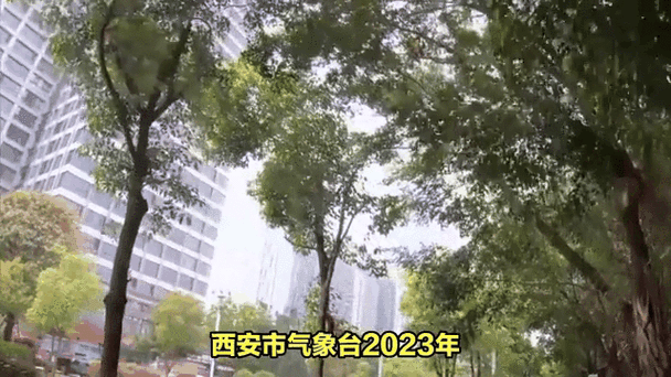 西安高温下的柏油马路奇观，晒化的城市现象智能免费问答EasyAI m.857vps.cn，西安高温下的柏油马路奇观，晒化现象与智能问答探索，西安高温下的柏油马路奇观，晒化现象与智能问答探索揭秘 第1张