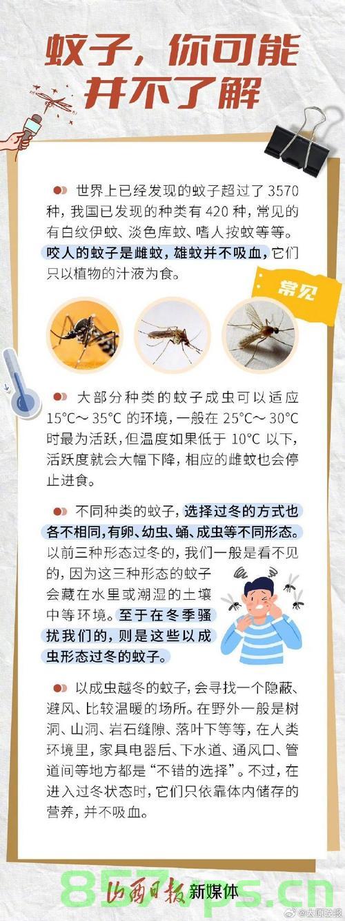 今年蚊子，热懒而非数量减少智能免费问答EasyAI m.857vps.cn，今年蚊子现象与智能免费问答EasyAI，热懒背后的真相及数量变化分析 m.857vps.cn 第1张