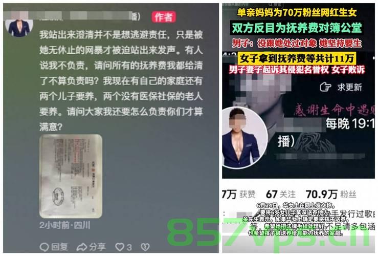 网红出轨粉丝引发意外产子事件，抚养费争议引发社会热议智能免费问答EasyAI m.857vps.cn，网红出轨粉丝引发意外产子事件，抚养费争议掀起社会热议，网红出轨粉丝引发意外产子事件，抚养费争议掀起热议，社交媒体伦理与社会责任探讨，网红出轨粉丝引发意外产子事件，抚养费争议与社会责任探讨，社交媒体伦理的挑战与热议 第2张