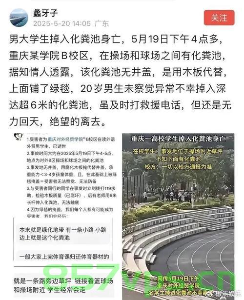 东北大学六名大学生溺亡事件引发关注，涉事大学校友发声表达哀痛与反思智能免费问答EasyAI m.857vps.cn，东北大学六大学生溺亡事件引发关注与反思，校友哀痛之声响起，东北大学六大学生溺亡事件引发关注与深刻反思，校友哀痛之声回荡校园 第1张