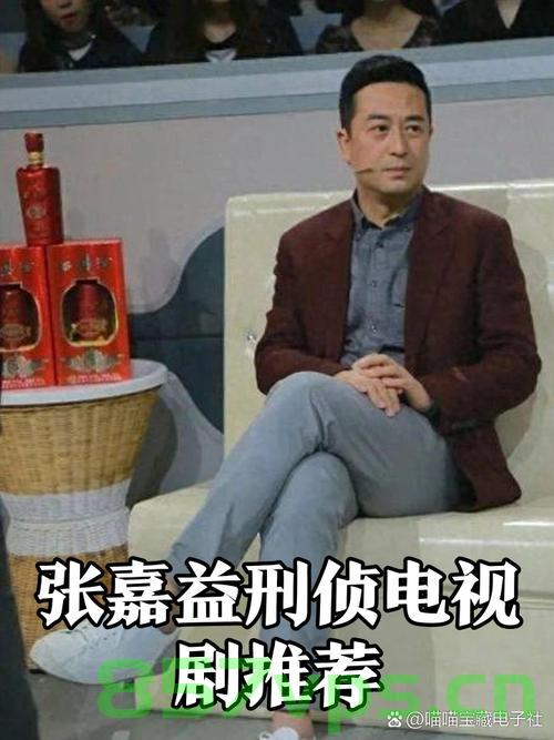 公安摇人，张嘉益、胡歌与任贤齐的跨界联动智能免费问答EasyAI m.857vps.cn，公安摇人，张嘉益、胡歌与任贤齐跨界联动智能问答新篇章，公安摇人联动智能问答新篇章，张嘉益、胡歌与任贤齐跨界联动EasyAI平台 第2张