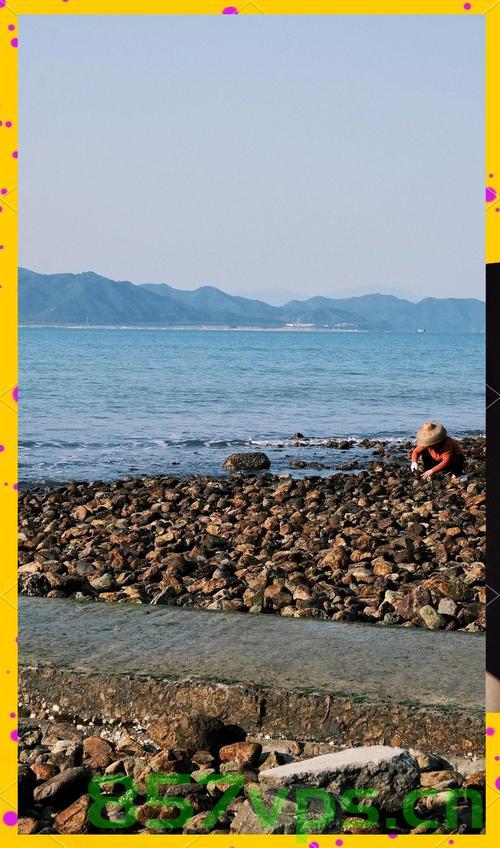 深圳一海滩惊现作弊式赶海现象智能免费问答EasyAI m.857vps.cn，深圳海滩惊现作弊赶海现象，智能免费问答揭示背后的秘密，深圳海滩惊现作弊式赶海现象，智能免费问答揭示背后的秘密探究 第2张