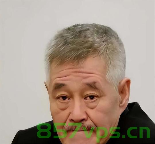 赵本山近照曝光，一头全白头发，岁月依旧留下痕迹智能免费问答EasyAI m.857vps.cn，赵本山近照曝光，全白头发展现岁月痕迹，智能问答EasyAI见证时光变迁，赵本山近照展现全白头发，岁月痕迹见证时光变迁——智能问答EasyAI陪伴记录生活 第2张