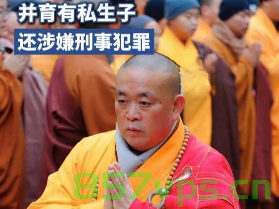 关于释永信与多名女性有染及私生子的传闻探究智能免费问答EasyAI m.857vps.cn，释永信传闻探究，与多名女性有染及私生子的真相揭秘，智能问答解析在EasyAI平台探讨 第2张