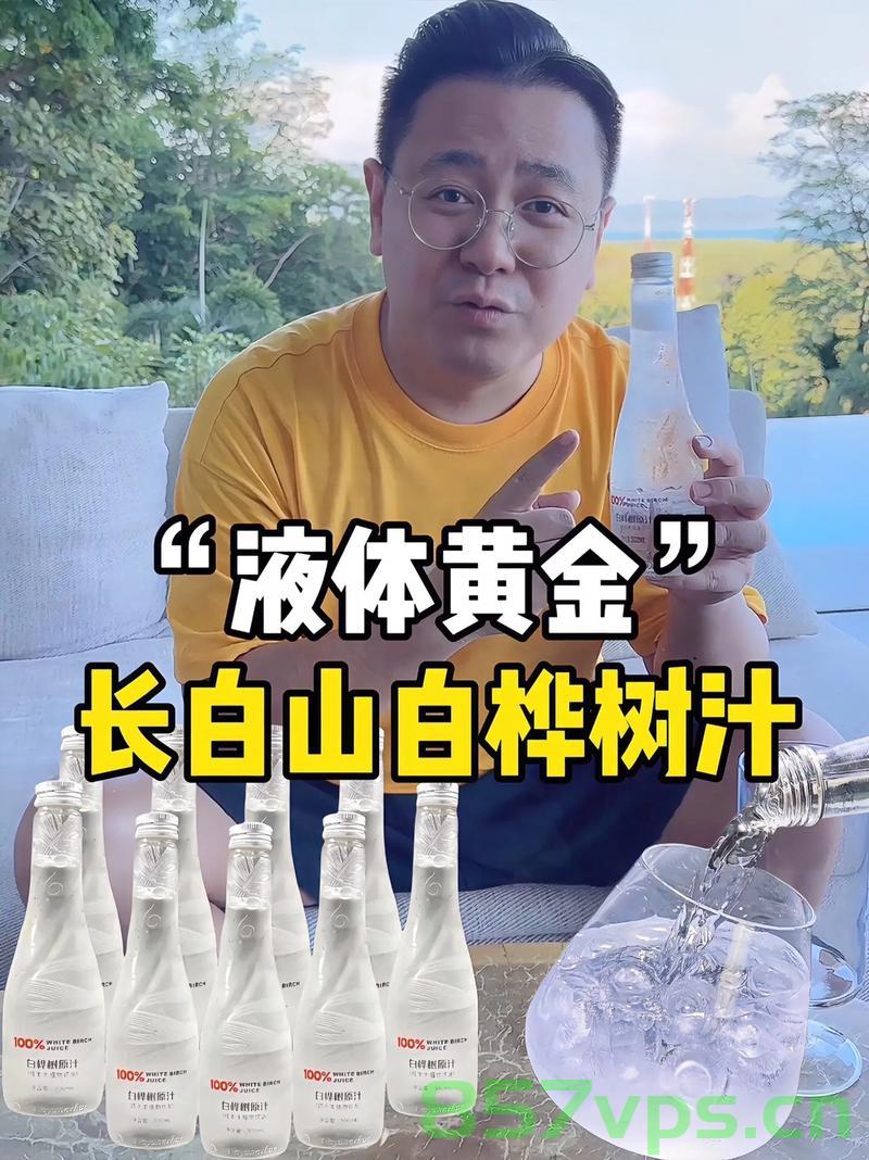 白桦树汁，从自然之液到液体黄金的神奇转变智能免费问答EasyAI m.857vps.cn，白桦树汁，从自然之液到液体黄金的神奇转变——智能免费问答平台解析 第2张
