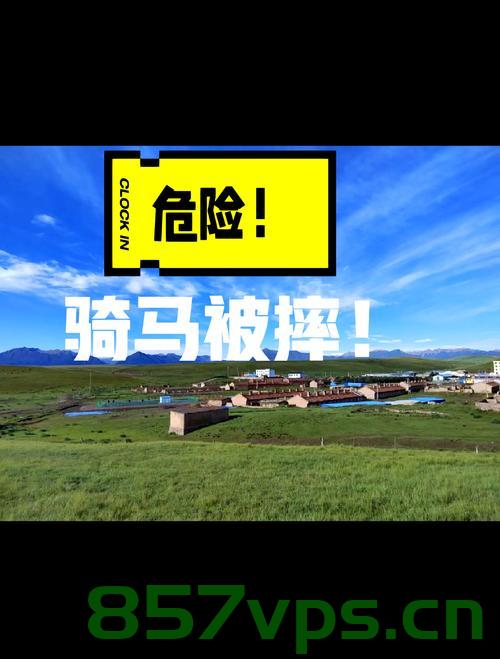河北一草原游客骑马相撞事故，一马不幸死亡智能免费问答EasyAI m.857vps.cn，河北草原骑马事故，游客相撞致一马死亡，河北草原游客骑马相撞事故致一马死亡，事故细节与反思 第2张