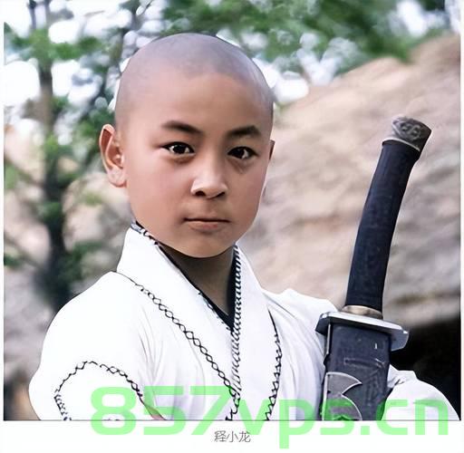 释小龙父亲任职的少林武校被执行，背后的故事与启示智能免费问答EasyAI m.857vps.cn，释小龙父亲任职少林武校背后的故事与启示，执行背后的启示与智能免费问答的探讨 第1张