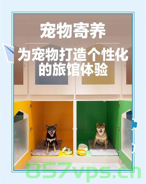 酒店创新服务,宠物陪睡,狗狗日薪百元,温馨体验引热议智能免费问答EasyAI m.857vps.cn,酒店创新服务,宠物陪睡引热议,狗狗日薪百元,智能体验温馨升级 第2张 酒店创新服务,宠物陪睡,狗狗日薪百元,温馨体验引热议智能免费问答EasyAI m.857vps.cn,酒店创新服务,宠物陪睡引热议,狗狗日薪百元,智能体验温馨升级 第2张