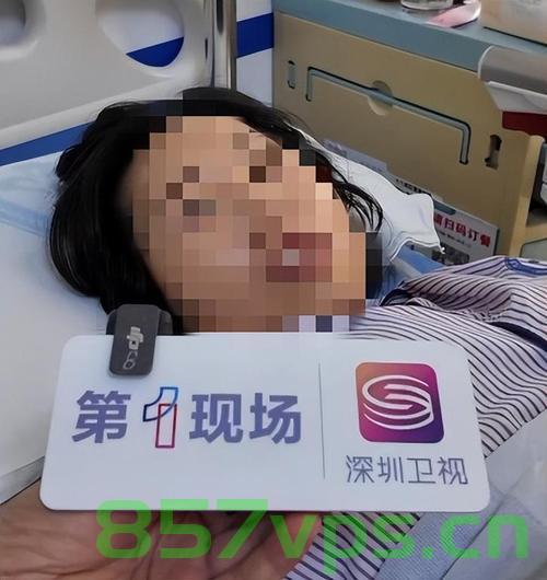 深圳大梅沙惊现野猪，女子被撞事件引发社会关注智能免费问答EasyAI m.857vps.cn，深圳大梅沙野猪出没，女子被撞事件引发社会关注，智能免费问答探讨 第2张