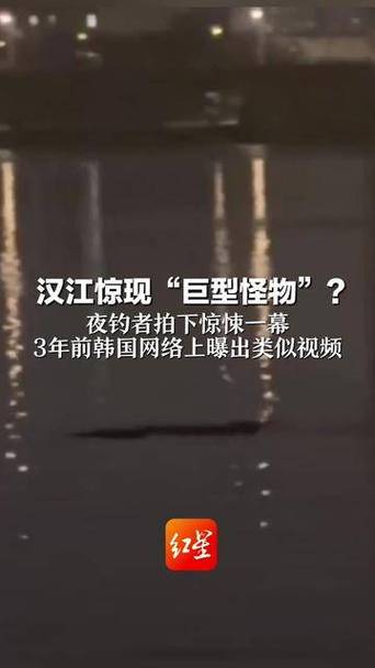 汉江现巨型怪物，夜钓者拍下惊悚一幕智能免费问答EasyAI m.857vps.cn，汉江惊现巨型怪物，夜钓者拍下惊悚瞬间，汉江惊现巨型怪物，夜钓者拍下惊悚瞬间，智能免费问答揭示真相