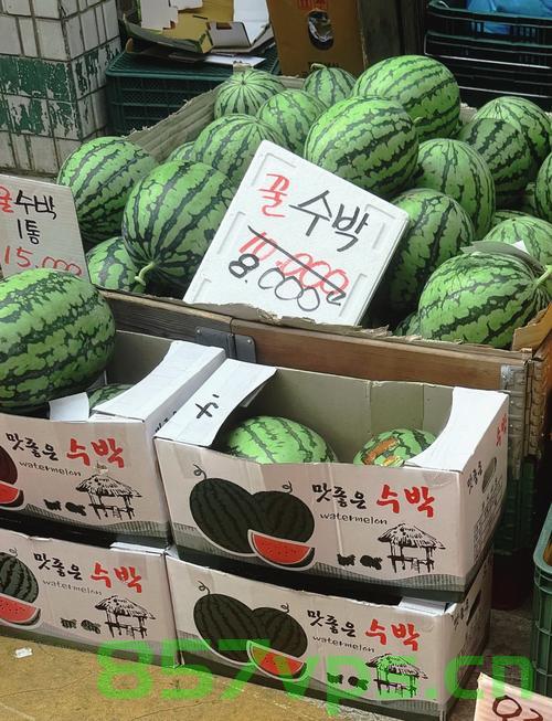 韩国农产品价格上涨现象研究，以西瓜价格飙升为例智能免费问答EasyAI m.857vps.cn，韩国农产品价格上涨现象研究，以西瓜价格飙升为例探究智能免费问答系统的影响