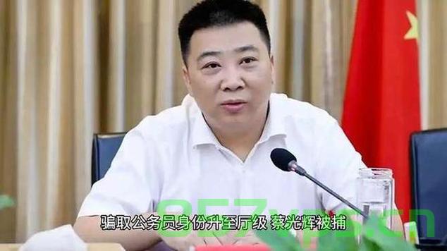 蔡光辉骗取公务员身份升至厅级被捕事件深度剖析智能免费问答EasyAI m.857vps.cn，蔡光辉骗取公务员身份升至厅级被捕事件深度剖析，揭示背后的真相与智能免费问答系统探讨 第2张