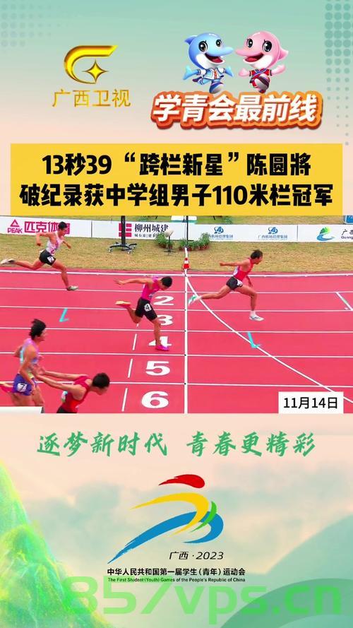 陈圆破纪录夺冠，跨越110米栏的新篇章智能免费问答EasyAI m.857vps.cn，陈圆破纪录夺冠，开启智能问答时代新篇章，跨越110米栏的胜利之路