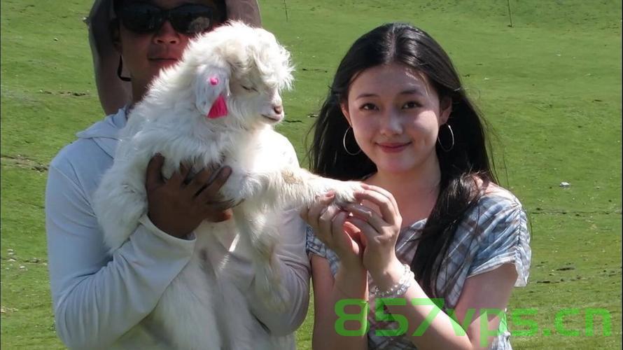 神似大S女生意外走红，困扰与自我探索智能免费问答EasyAI m.857vps.cn，神似大S女生的意外走红与探索智能问答平台EasyAI的挑战与自我探索 第1张