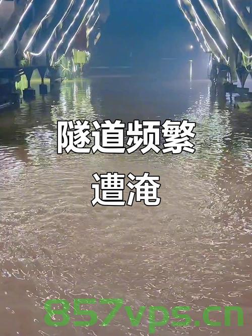 郑州司机遭遇隧道水淹，被困十分钟生死瞬间智能免费问答EasyAI m.857vps.cn，郑州隧道水淹危机，司机被困生死瞬间，智能问答系统紧急救援故事——EasyAI m.857vps.cn见证瞬间