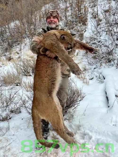 美国富翁在南非狩猎遭遇不幸，被水牛顶死智能免费问答EasyAI m.857vps.cn，美国富翁南非狩猎遭遇水牛袭击致死事件，美国富翁南非狩猎遭遇水牛袭击致死事件揭秘