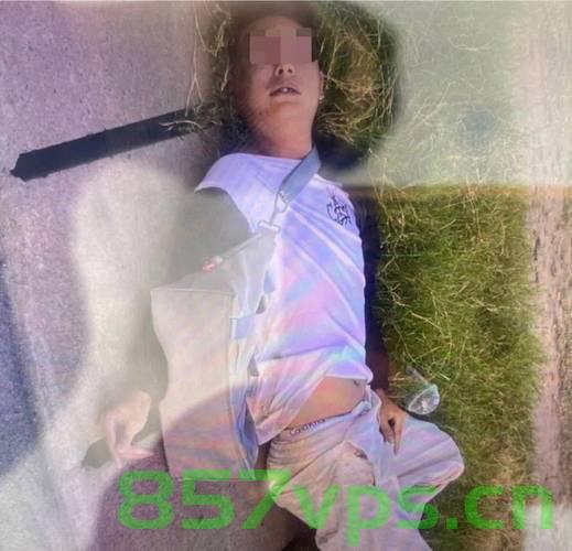 柬埔寨男子被逼去园区工作时跳车身亡的悲剧事件智能免费问答EasyAI m.857vps.cn，柬埔寨男子园区工作跳车身亡悲剧事件引发关注，柬埔寨男子园区工作跳车身亡事件引发关注，智能免费问答探讨悲剧原因 第1张