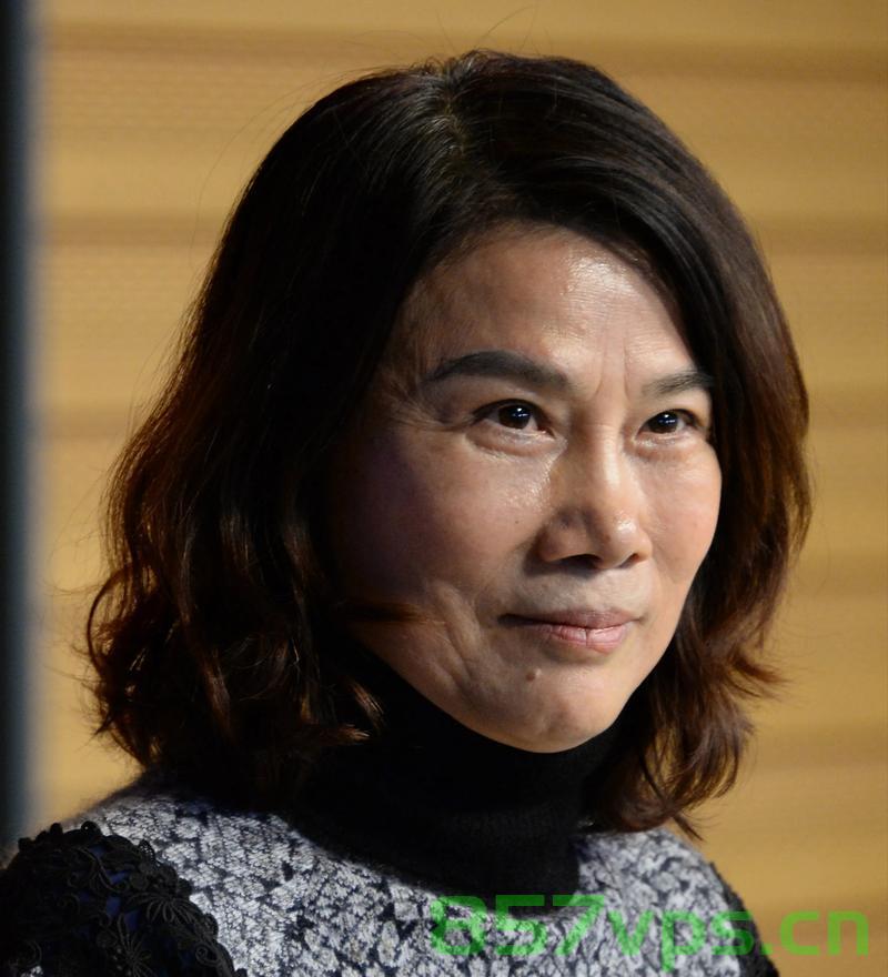 董明珠卸任格力钛董事，一个时代的结束与新篇章的开启智能免费问答EasyAI m.857vps.cn，董明珠卸任格力钛董事，时代更迭与智能新篇章的开启 第2张