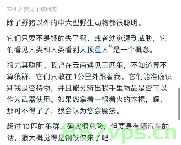 男子无人区投喂狼遭遇意外背刺——人类与野生动物的边界智能免费问答EasyAI m.857vps.cn，男子无人区投喂狼遭遇意外，人类与野生动物的边界挑战，男子无人区投喂狼遭遇意外，人类与野生动物边界的挑战（智能问答） 第1张