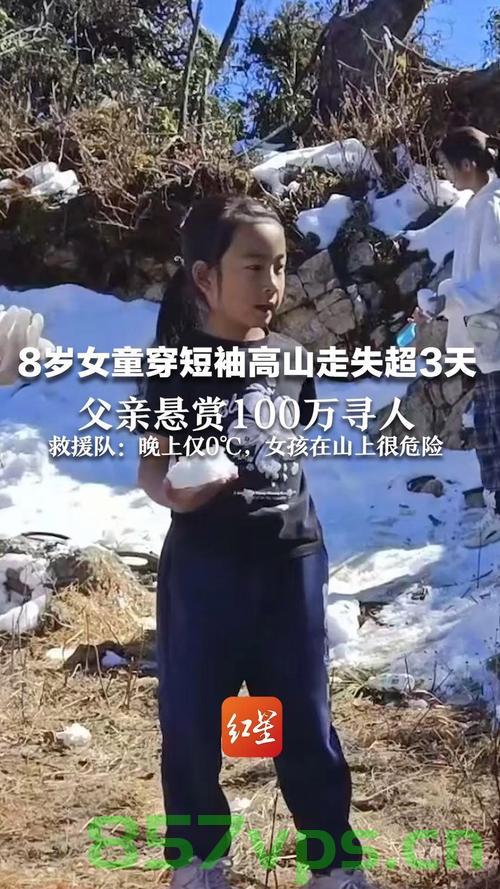 警方回应7岁小孩在苍山走失，全力搜救，关注每一个生命的安全智能免费问答EasyAI m.857vps.cn，警方全力搜救苍山走失的七岁孩童，关注每一个生命的安全
