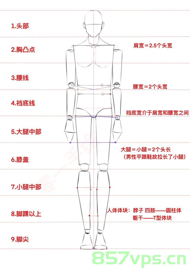 实测揭秘，九头身裁判的身形真相智能免费问答EasyAI m.857vps.cn，揭秘九头身裁判身形真相，智能免费问答平台实测探究 第1张