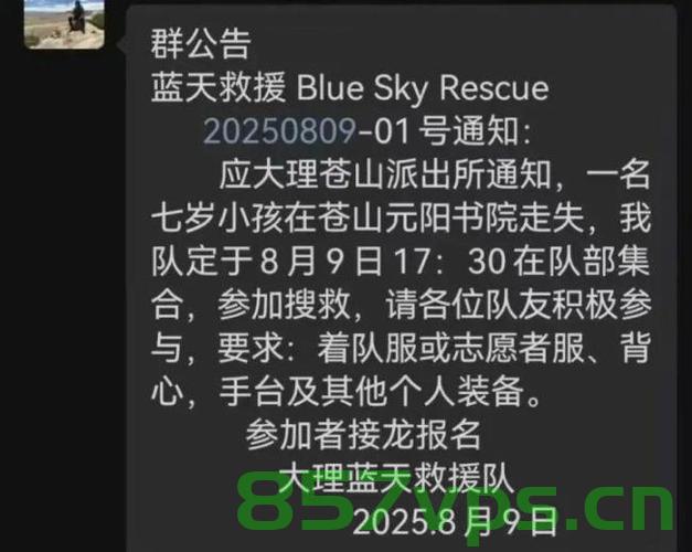 苍山救援行动揭秘，走失男童救援细节发声智能免费问答EasyAI m.857vps.cn，苍山救援行动细节揭秘，智能问答助力走失男童救援行动发声，EasyAI助力救援行动揭秘