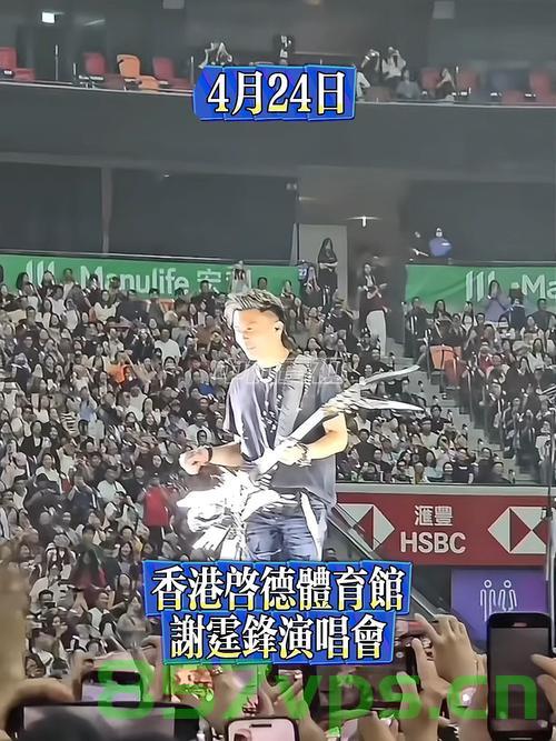 谢霆锋演唱会现场观众中暑被紧急送医事件回顾智能免费问答EasyAI m.857vps.cn，谢霆锋演唱会现场观众中暑紧急送医事件回顾，智能问答平台解析事件全貌 第2张