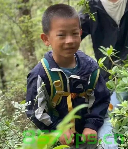 大理走失男童事件引发关注，涉事夏令营机构接受调查智能免费问答EasyAI m.857vps.cn，大理男童走失事件引发关注，夏令营机构受调查，事件背后真相揭秘