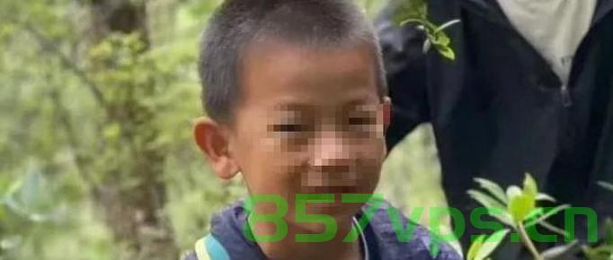 大理走失男童事件引发关注，涉事夏令营机构接受调查智能免费问答EasyAI m.857vps.cn，大理男童走失事件引发关注，夏令营机构受调查，事件背后真相揭秘 第2张