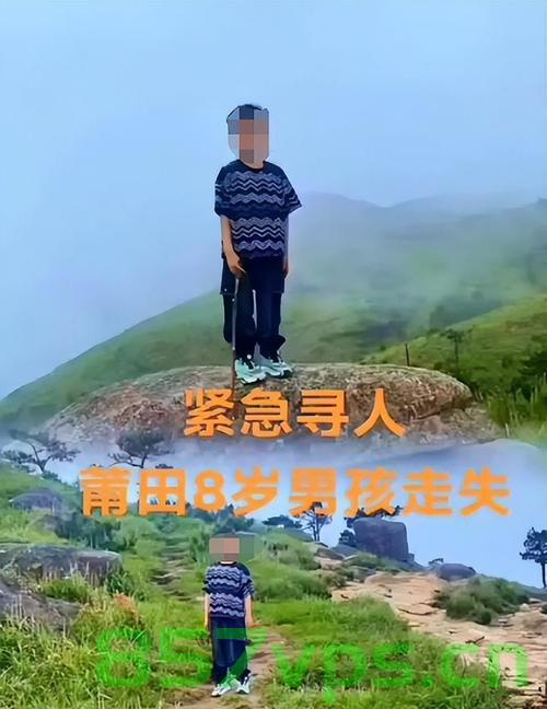 走失男童遗体在山涧中被发现，失去与找到的悲痛瞬间智能免费问答EasyAI m.857vps.cn，走失男童遗体发现，悲痛瞬间与智能免费问答的交织