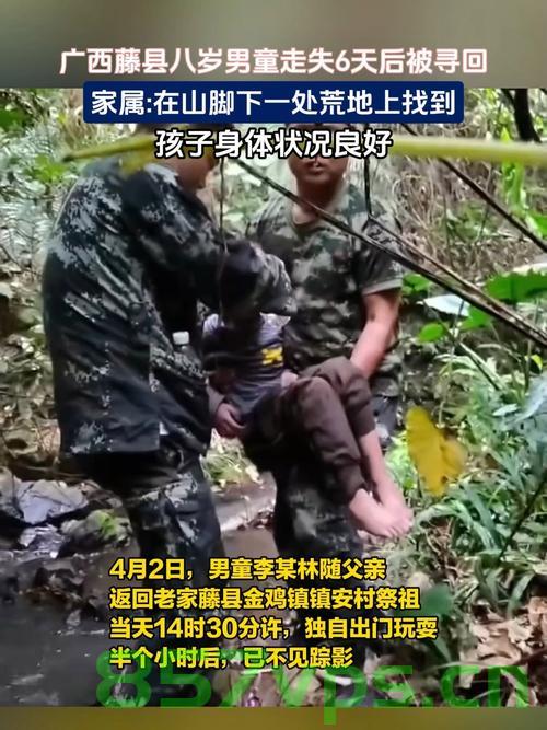 走失男童遗体在山涧中被发现，失去与找到的悲痛瞬间智能免费问答EasyAI m.857vps.cn，走失男童遗体发现，悲痛瞬间与智能免费问答的交织 第2张