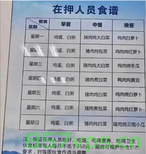 金建希所在看守所的餐标细节，每顿餐标约9元的人性化管理智能免费问答EasyAI m.857vps.cn，金建希所在看守所餐标揭秘，每餐约9元的人性化管理，智能问答平台EasyAI解析，金建希所在看守所餐标揭秘，每餐约9元的人性化管理，EasyAI智能问答平台解读 第2张