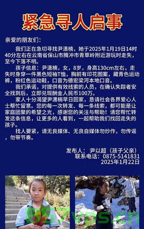 大理通报8岁男童在苍山走失遇难，事件背后的反思与启示智能免费问答EasyAI m.857vps.cn，大理通报男童苍山走失遇难事件，反思与启示，智能问答平台EasyAI助力寻找答案，大理通报男童苍山走失遇难事件，反思与启示，智能问答平台EasyAI助力搜救并引发广泛思考 第1张