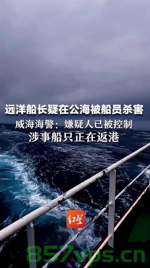 船长公海被杀事件，嫌犯申请精神病鉴定引发关注智能免费问答EasyAI m.857vps.cn，船长公海被杀事件引发关注，嫌犯精神病鉴定与智能免费问答的讨论 第1张