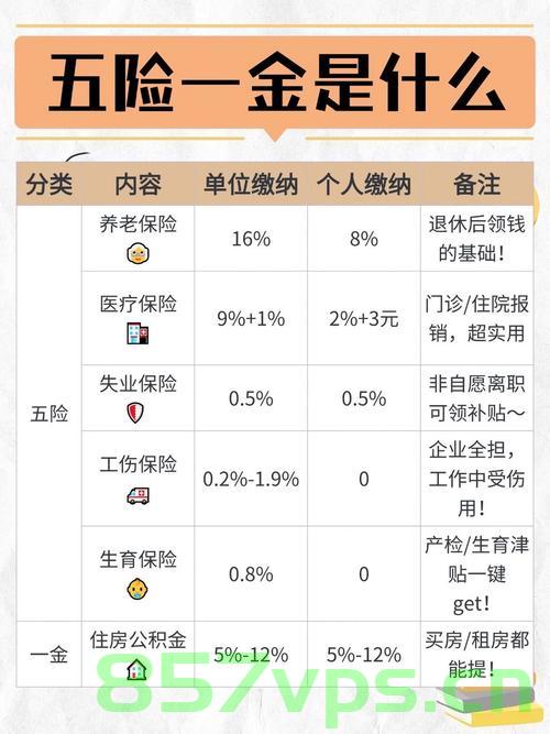 只有三成打工人交齐五险一金，现状分析与思考智能免费问答EasyAI m.857vps.cn，三成打工人交齐五险一金现状分析与思考，智能免费问答平台的挑战与机遇 第1张
