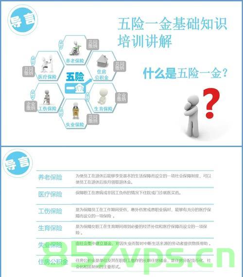 只有三成打工人交齐五险一金，现状分析与思考智能免费问答EasyAI m.857vps.cn，三成打工人交齐五险一金现状分析与思考，智能免费问答平台的挑战与机遇 第2张