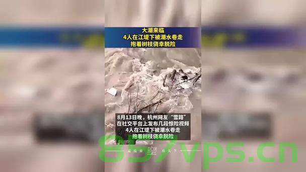 潮水无情，人心有幸，四人遇险抱树枝脱险记智能免费问答EasyAI m.857vps.cn，潮水危机中的生命奇迹，四人抱树枝脱险记与智能问答EasyAI解析，潮水危机中的生命奇迹，四人抱树枝脱险与智能问答EasyAI解析 第1张