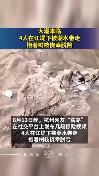 潮水无情，人心有幸，四人遇险抱树枝脱险记智能免费问答EasyAI m.857vps.cn，潮水危机中的生命奇迹，四人抱树枝脱险记与智能问答EasyAI解析，潮水危机中的生命奇迹，四人抱树枝脱险与智能问答EasyAI解析 第2张