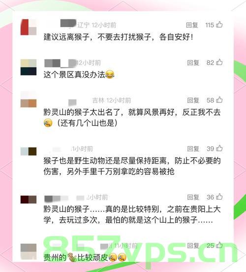 贵州女游客遭遇猴群袭击，不幸骨折智能免费问答EasyAI m.857vps.cn，贵州女游客遭猴群袭击不幸骨折，智能免费问答平台助力应对危机，贵州女游客遭猴群袭击致骨折，智能免费问答平台助力应对危机 第2张