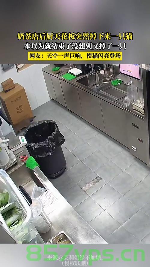 奶茶店天花板掉落致店员身亡的悲剧事件智能免费问答EasyAI m.857vps.cn 第2张