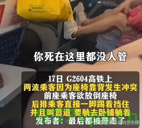乘客吐槽高铁邻座400斤男子致拥挤，关于公共空间中的舒适度与责任探讨智能免费问答EasyAI m.857vps.cn，公共空间中的舒适度与责任，高铁邻座超重男子的影响探讨