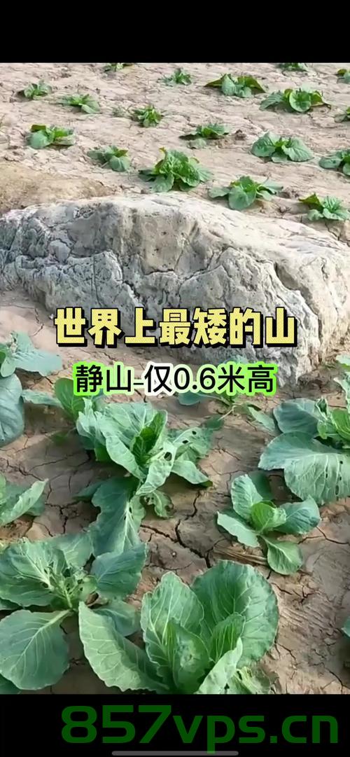 全国最矮的山，一场意外的网络热潮智能免费问答EasyAI m.857vps.cn，全国最矮的山引发网络热潮，智能问答EasyAI揭秘m.857vps.cn 第1张