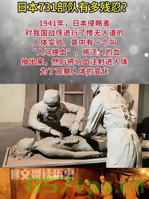 揭秘日本731部队细菌战，解密文件的解密与俄方公布智能免费问答EasyAI m.857vps.cn，解密日本731部队细菌战背后的秘密与俄方智能问答EasyAI揭秘，历史真相与技术的交汇点 第1张